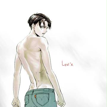 Levi