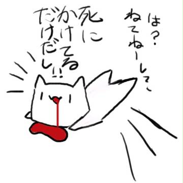 今日のneco 4「は?寝てね―し?」