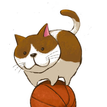 猫