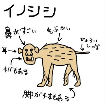 イノシシ