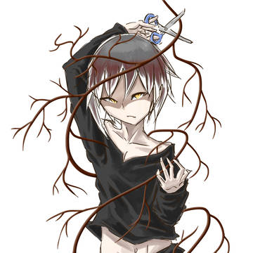 血管の欠陥