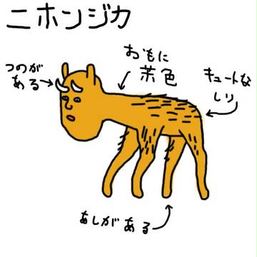 ニホンジカ