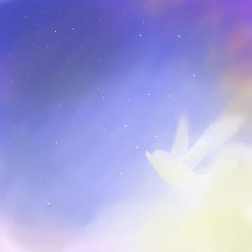 星鸟