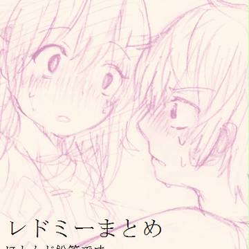 レドミーまとめ