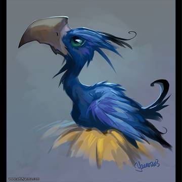 bird_1_hour