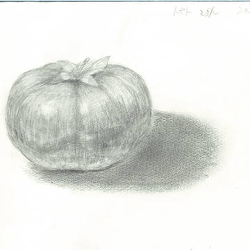 tomato/2.5h/20130613