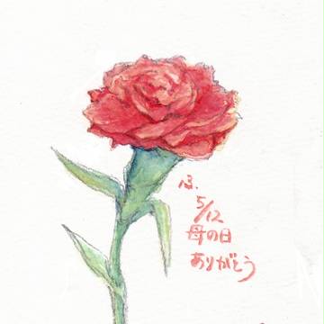 母の日２０１３