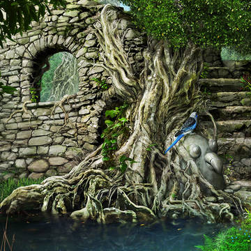 Ruins of birds （地上の入口）