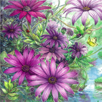 華想水景~nagomi~