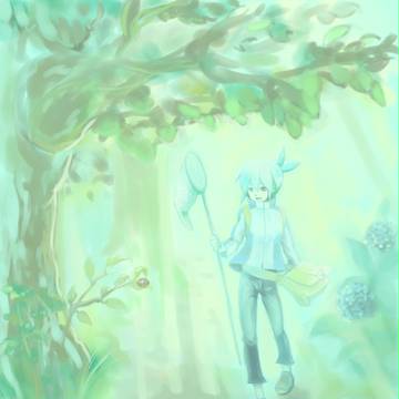 森の中