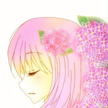 紫陽花