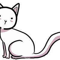 Neko Nyo