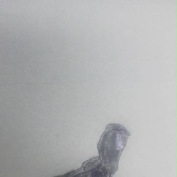 腕