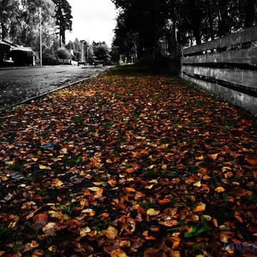 The long road