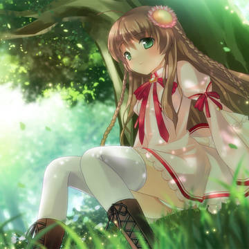 小鳥