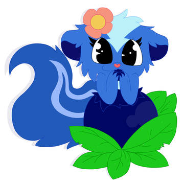 Blueberries