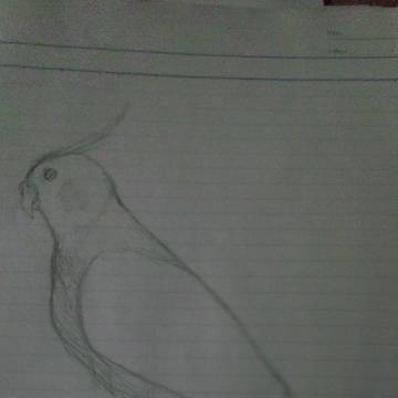 アナログ描き