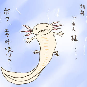 あほろーとる