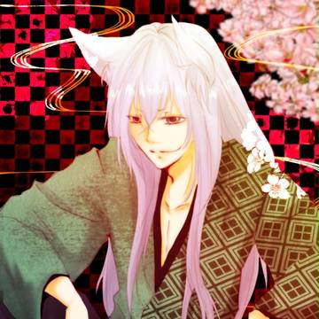 野狐さん
