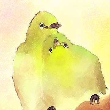 野鳥まとめ