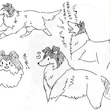 うちのこ