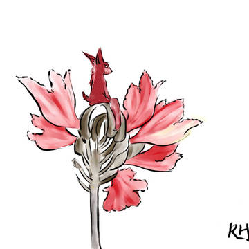 炎·火焰花