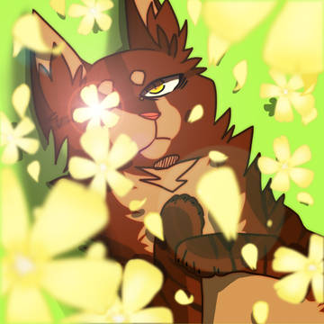 まぶし