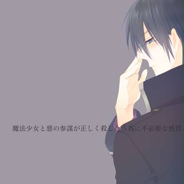 かつて魔法少女と悪は敵対していた・2