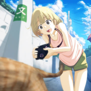 夏がきました