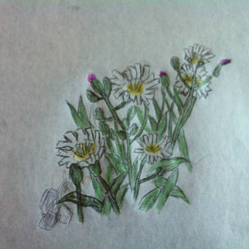 花