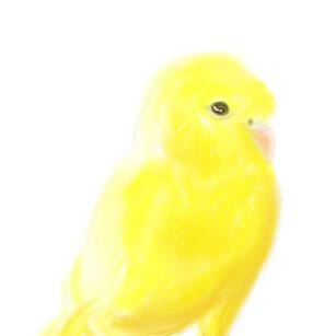 らくがきいんこ１