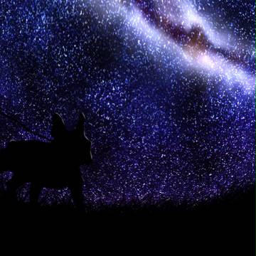 あと何回この星空を君と見れるだろうか