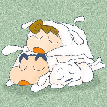 シロとお昼寝