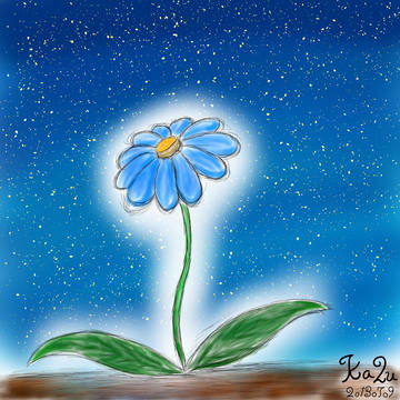 夜に咲く　201307090137