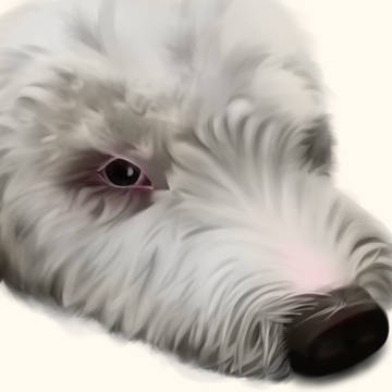 八万