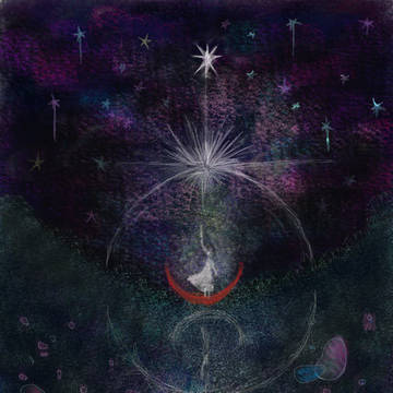 星が降る海