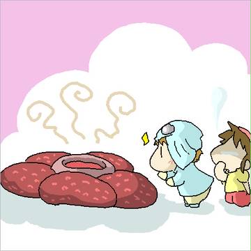 お花