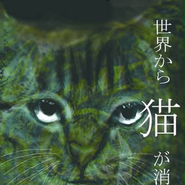 キャベツ猫
