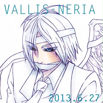 2013.06.27