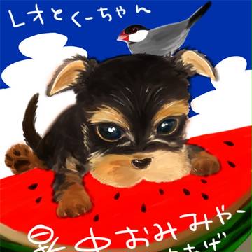うちのこたち