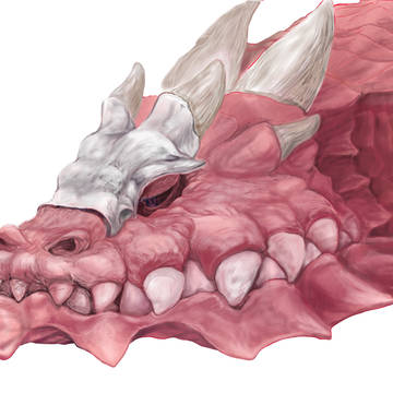 竜