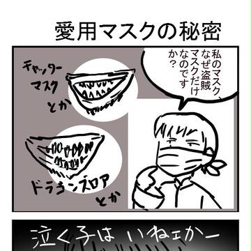 メイポマスクの理由