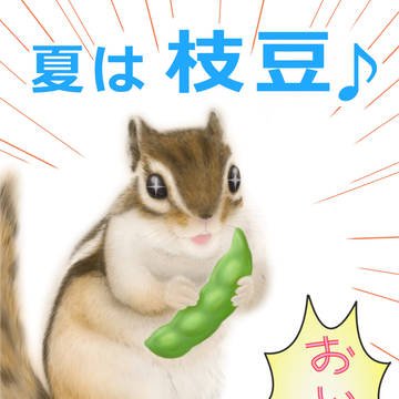 夏は枝豆