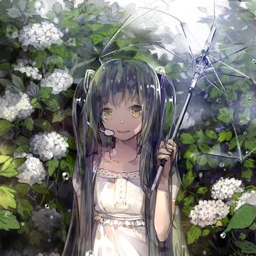 夏