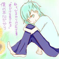 【うたプリ】暑中見舞い【イラスト】