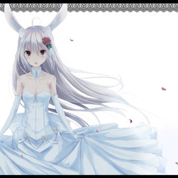 C84表紙