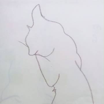 ねこてろん