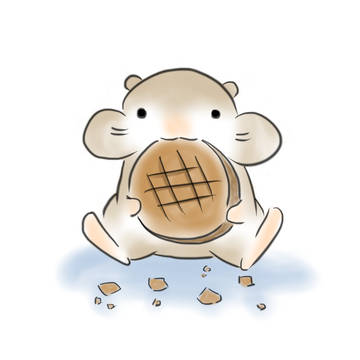 mouse