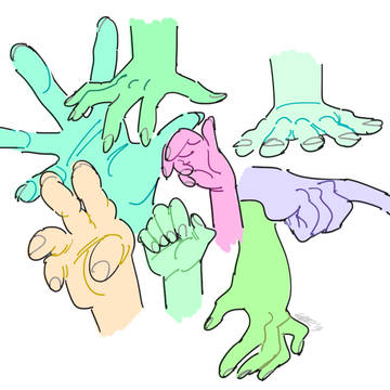 40 fingers