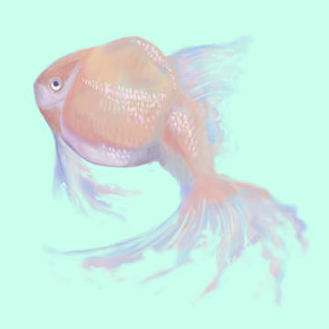 納涼